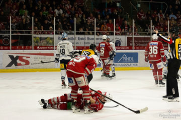 EVR - Eislöwen Dresden, 17.11.2024